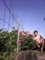 ID 5274 Открыть