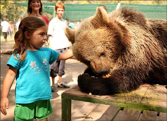 Ну и Зоопарк. Погладь меня, если сможешь...