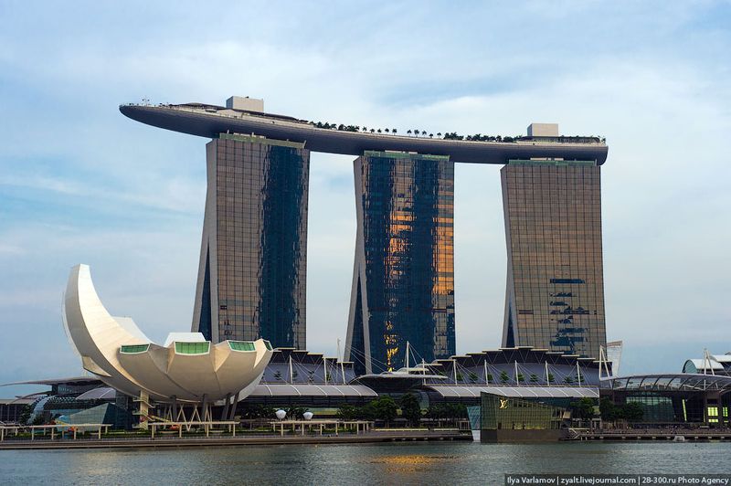 Отель Marina Bay Sands, бассейн под облаками Общий вид. В трех башнях более 2500 номеров. На крыше расположен бассейн. Большая белая лилия - музей современного искусства. У подножия магазины, театр и рестораны.