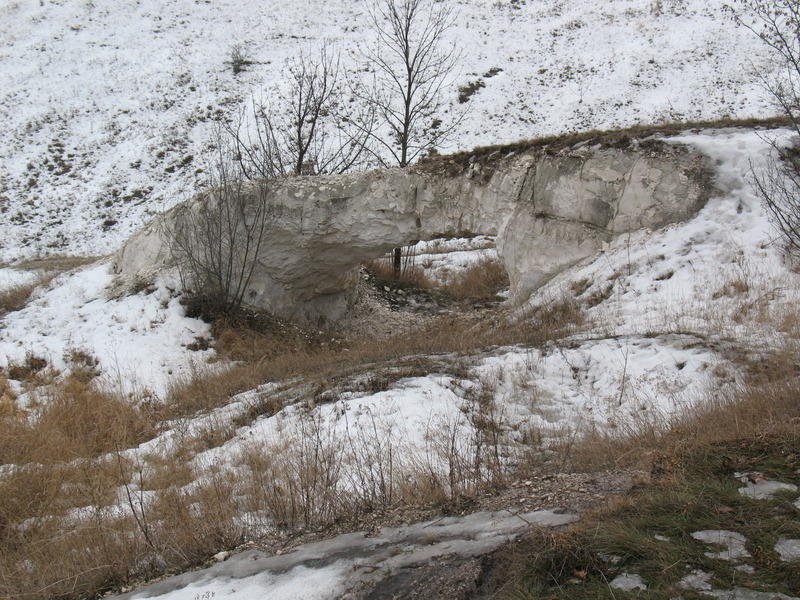 Горы Воронежской области Меловая арка близ хутора Титчиха