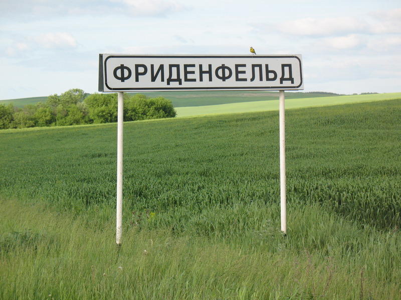 Горы Воронежской области Хутор Фриденфельд. На табличке - щурка золотистая