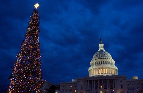 Лучшие Рождественские фотографии Праздничная елка в Капитолии (Capital Holiday Tree) в Вашингтоне, США