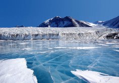 Чем особенно поражает Антарктида? 