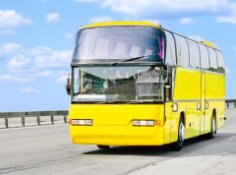 Каковы золотые правила автобусного тура? Подготовка  