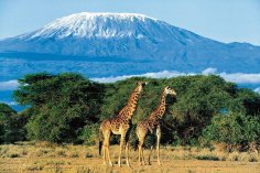 А вы бывали в Танзании? Рай и экономика
